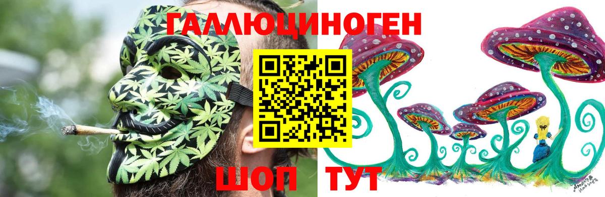 Дагестанские Огни  Псилоцибиновые грибы мухоморы  Вход с VPN 